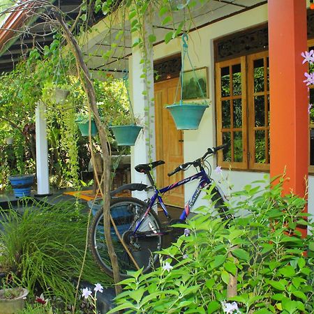 Nature Night Homestay Sigiriya Bagian luar foto